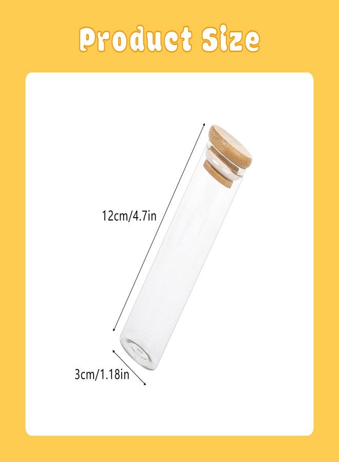Klmnop 2 Pack Cat Whisker Jar, Transparent Glass Cat Whisker Vase with Sealed Bamboo Lid, Cat Whisker Collector Cat Whisker Holder Loss of Cat Sympathy Gift(Clear) - Image 2